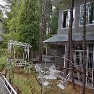 Pinetree Resort Nathiagali Nathia Gali Luaran gambar